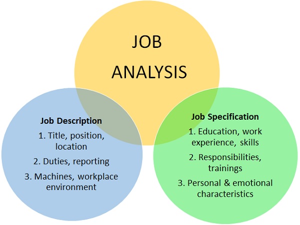 Struttura della Job Analysis